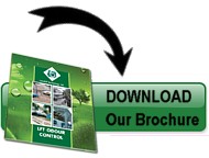 Download Our Brochure Now